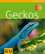 Geckos - Axel Dehne