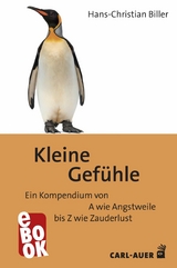 Kleine Gef&uuml;hle - Hans-Christian Biller