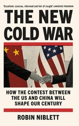 New Cold War -  Robin Niblett