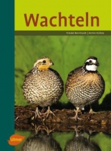 Wachteln - Friedel Bernhardt, Armin K&uuml;hne