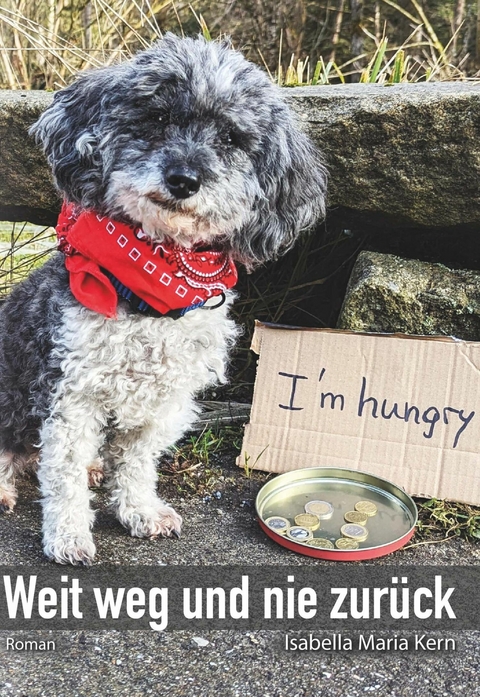 Weit weg und nie zur&uuml;ck -  Isabella Maria Kern