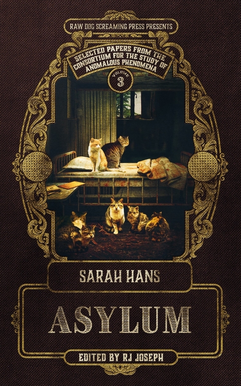 Asylum -  Sarah Hans
