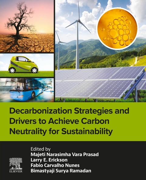 Decarbonization Strategies and Drivers to Achieve Carbon Neutrality for Sustainability - 