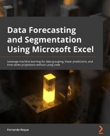 Data Forecasting and Segmentation Using Microsoft Excel -  Roque Fernando Roque