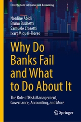 Why Do Banks Fail and What to Do About It -  Nordine Abidi,  Bruno Buchetti,  Samuele Crosetti,  Ixart Miquel-Flores