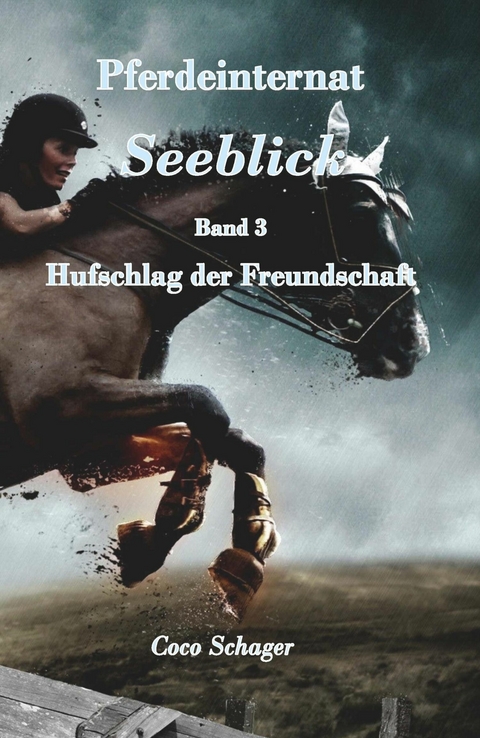 Pferdeinternat Seeblick Band 3 -  Coco Schager