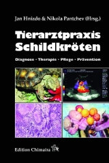 Tierarztpraxis Schildkr&ouml;ten - Jan Hn&iacute;zdo, Nikola Pantchev, Ondřej Hes, Jiři Zych