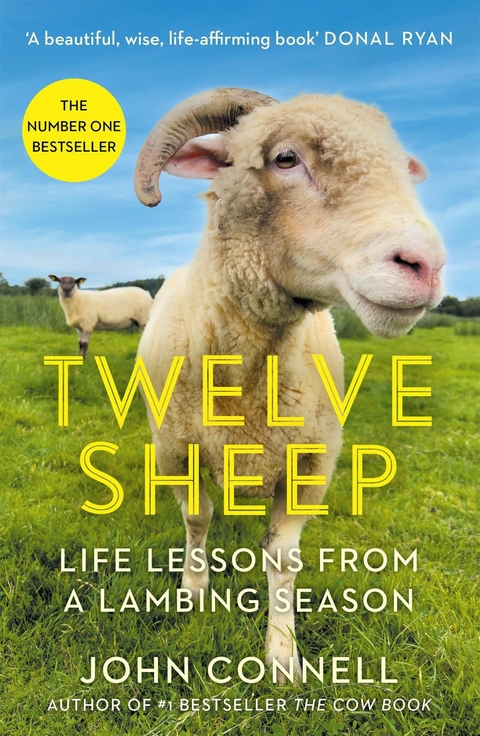 Twelve Sheep -  John Connell