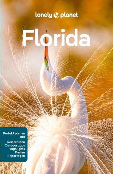 LONELY PLANET Reiseführer E-Book Florida -  Adam Karlin,  Regis St. Louis,  Terry Ward,  Jennifer M Edwards,  David Gibb,  Amy Bizzarri