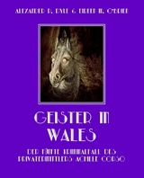 Geister in Wales - Alexander P. Dyle, Eireen M. O'Brien