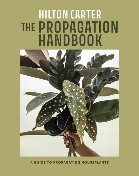 Propagation Handbook -  Hilton Carter