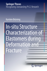 In-situ Structure Characterization of Elastomers during Deformation and Fracture - Karsten Br&uuml;ning
