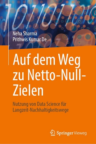 Auf dem Weg zu Netto-Null-Zielen