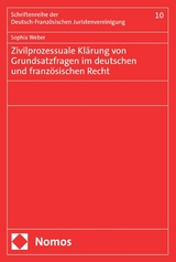 Zivilprozessuale Kl&auml;rung von Grundsatzfragen im deutschen und franz&ouml;sischen Recht - Sophia Weber