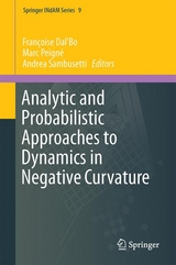 Analytic and Probabilistic Approaches to Dynamics in Negative Curvature - 