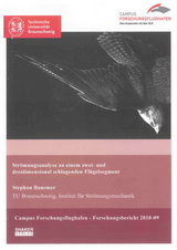 Strömungsanalyse an einem zwei- und dreidimensional schlagenden Flügelsegment - Stephan Bansmer