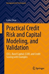 Practical Credit Risk and Capital Modeling, and Validation -  Colin Chen