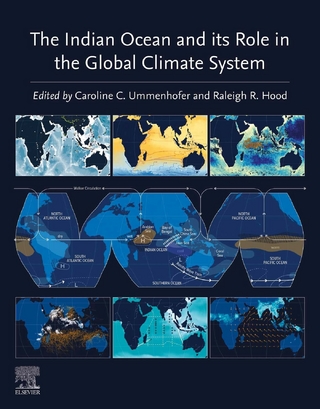 Indian Ocean and its Role in the Global Climate System
