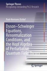 Dyson&ndash;Schwinger Equations, Renormalization Conditions, and the Hopf Algebra of Perturbative Quantum Field Theory - Paul-Hermann Balduf