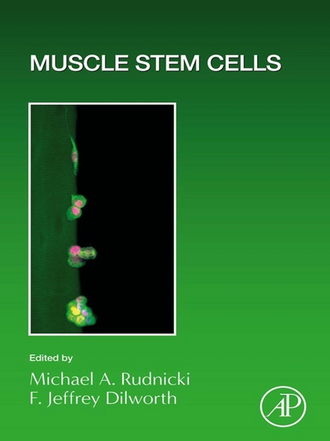 Muscle Stem Cells - 