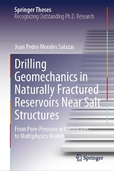 Drilling Geomechanics in Naturally Fractured Reservoirs Near Salt Structures - Juan Pedro Morales Salazar