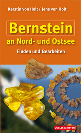 Bernstein an Nord- und Ostsee - Kerstin von Holt, Jens von Holt