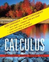 Calculus - Hughes-Hallett, Deborah; Lozano, Guadalupe I.; Gleason, Andrew M.; Flath, Daniel E.; Lock, Patti Frazer