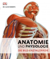 Anatomie und Physiologie - 