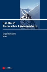 Schutzbauten gegen alpine Naturgefahren / Handbuch Technischer Lawinenschutz - 