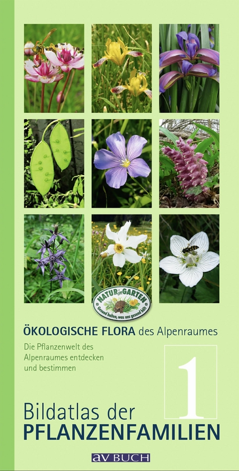 &Ouml;kologische Flora des Alpenraumes, Band 1 - Wolfgang Holzner, Wolfgang Adler, Matthias Kropf, Silvia Winter