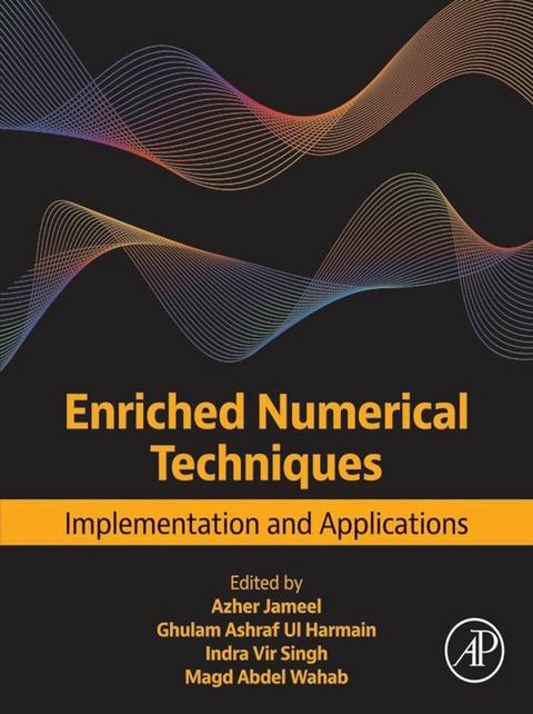 Enriched Numerical Techniques - 