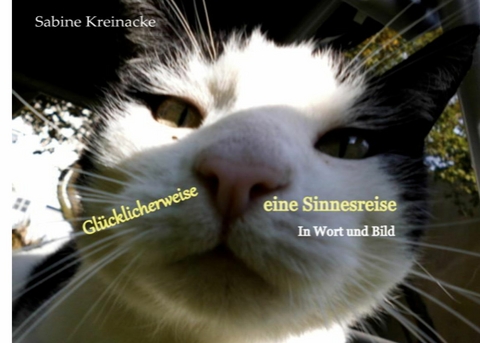 Gl&uuml;cklicherweise eine Sinnesreise -  Sabine Kreinacke
