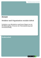 Struktur und Organisation sozialer Arbeit -  Anonym