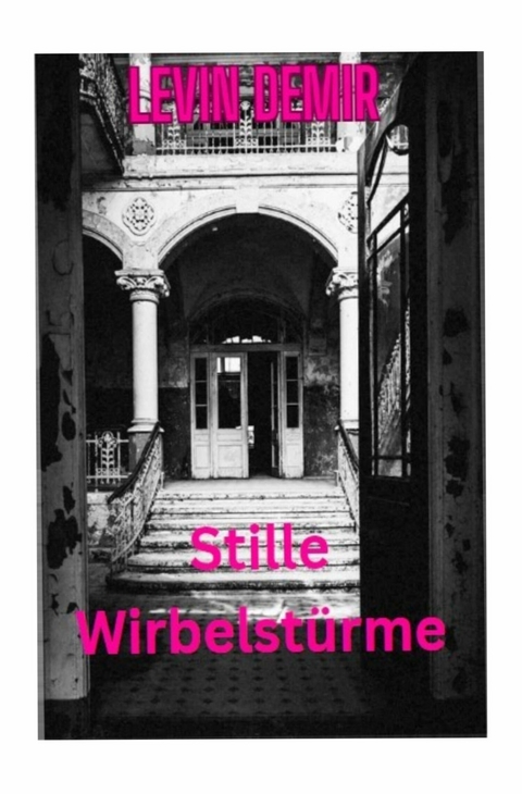 Stille Wirbelst&uuml;rme - Levin Demir