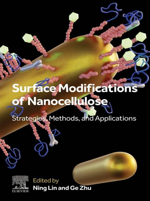 Surface Modifications of Nanocellulose - 