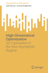 High-Dimensional Optimization -  Jack Noonan,  Anatoly Zhigljavsky