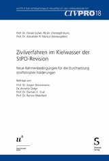 Zivilverfahren im Kielwasser der StPO-Revision - 