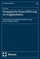Strategische Prozessf&uuml;hrung im Klagekollektiv - Lisa Hahn