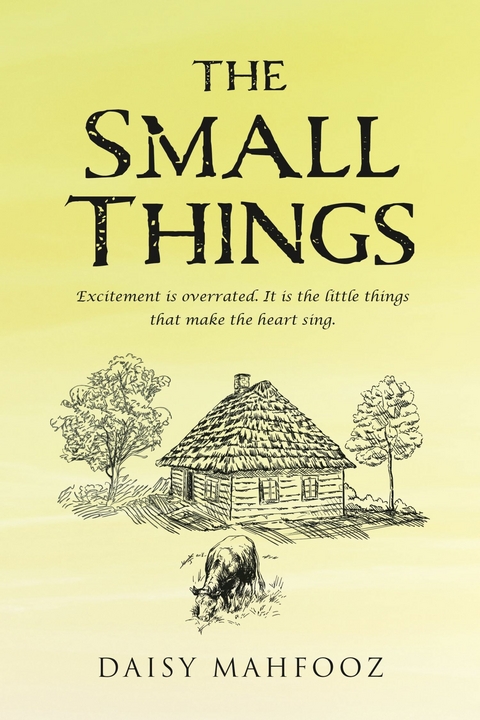Small Things -  Daisy Mahfooz
