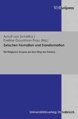 Zwischen Formation und Transformation - 