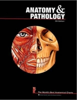 Anatomy and Pathology - 