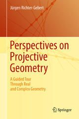 Perspectives on Projective Geometry - Jürgen Richter-Gebert