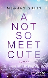 A Not So Meet Cute - Meghan Quinn