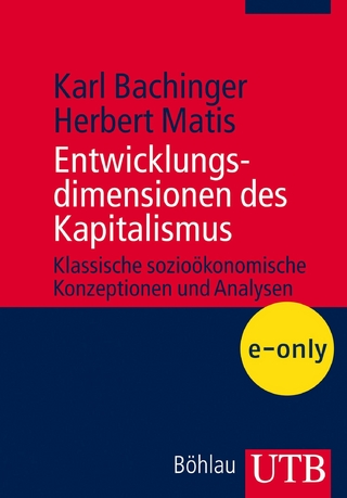 Entwicklungsdimensionen des Kapitalismus