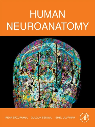 Human Neuroanatomy
