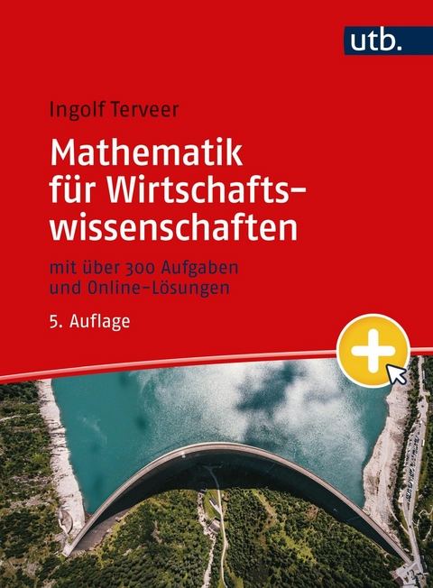 Mathematik f&uuml;r Wirtschaftswissenschaften - Ingolf Terveer