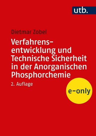 Verfahrensentwicklung und Technische Sicherheit in der Anorganischen Phosphorchemie