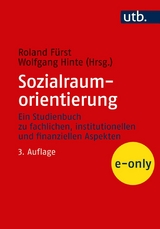 Sozialraumorientierung - Roland F&uuml;rst, Wolfgang Hinte
