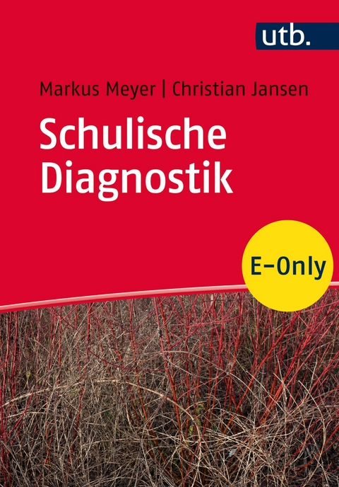 Schulische Diagnostik - Markus Richard Meyer, Christian Jansen