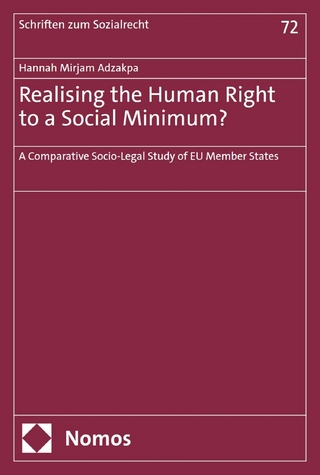 Realising the Human Right to a Social Minimum?